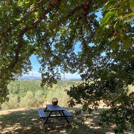 La Casina Della Quercia, Your Tuscan Oak Tree House Osteria Delle Noci Экстерьер фото