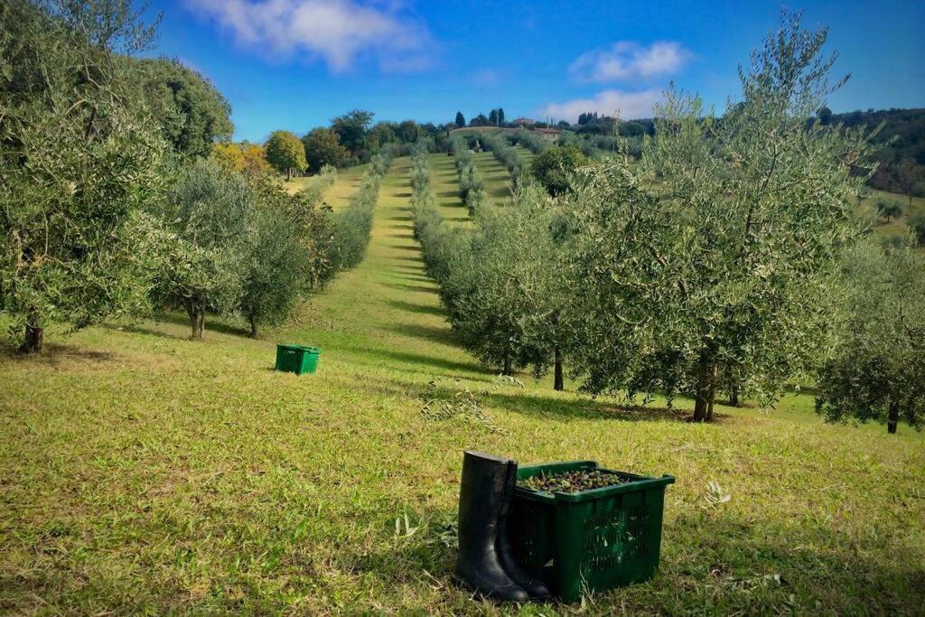 La Casina Della Quercia, Your Tuscan Oak Tree House Osteria Delle Noci Экстерьер фото