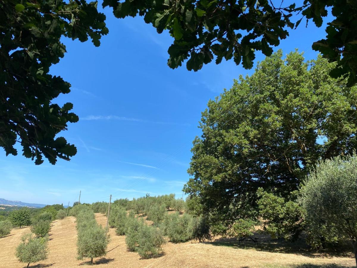 La Casina Della Quercia, Your Tuscan Oak Tree House Osteria Delle Noci Экстерьер фото