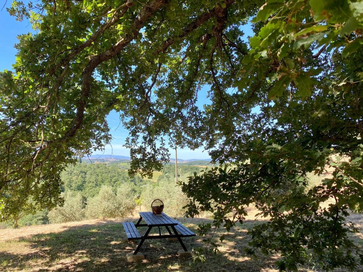 La Casina Della Quercia, Your Tuscan Oak Tree House Osteria Delle Noci Экстерьер фото